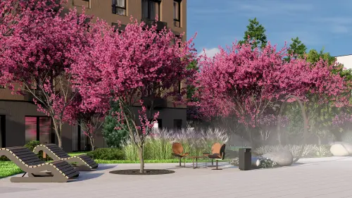 Привилегия Дзен