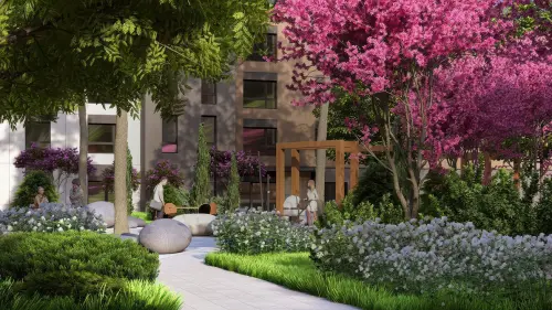 Привилегия Дзен