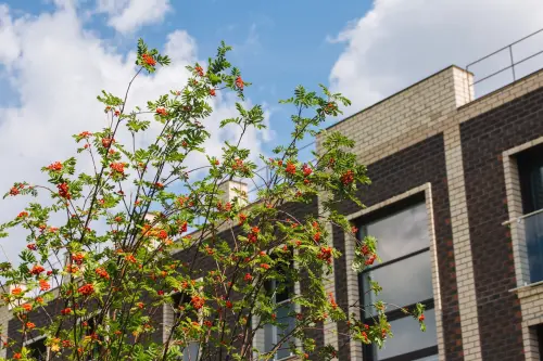 ЖК «Твоя Привилегия»