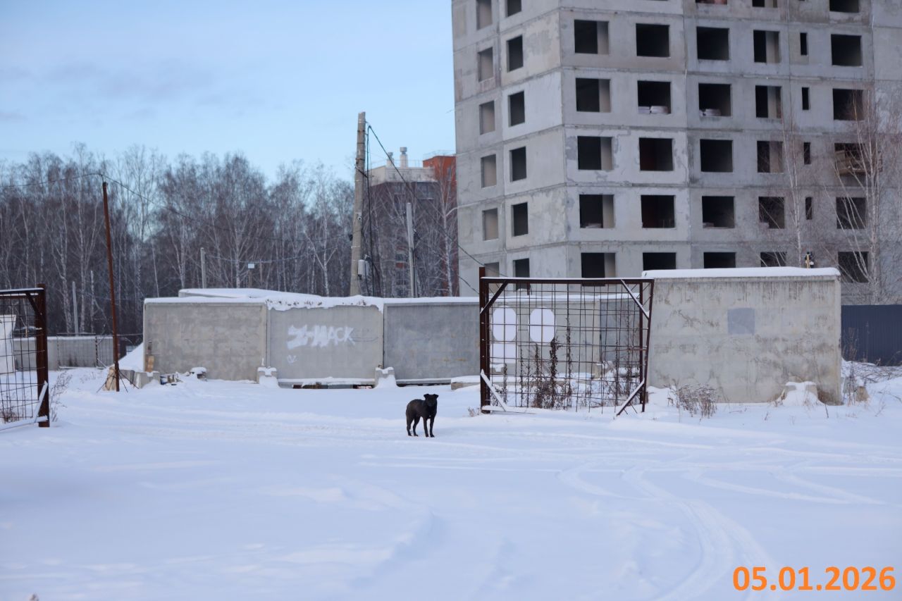 Ход строительства ЖК «Краснополье» — фото за январь 2026