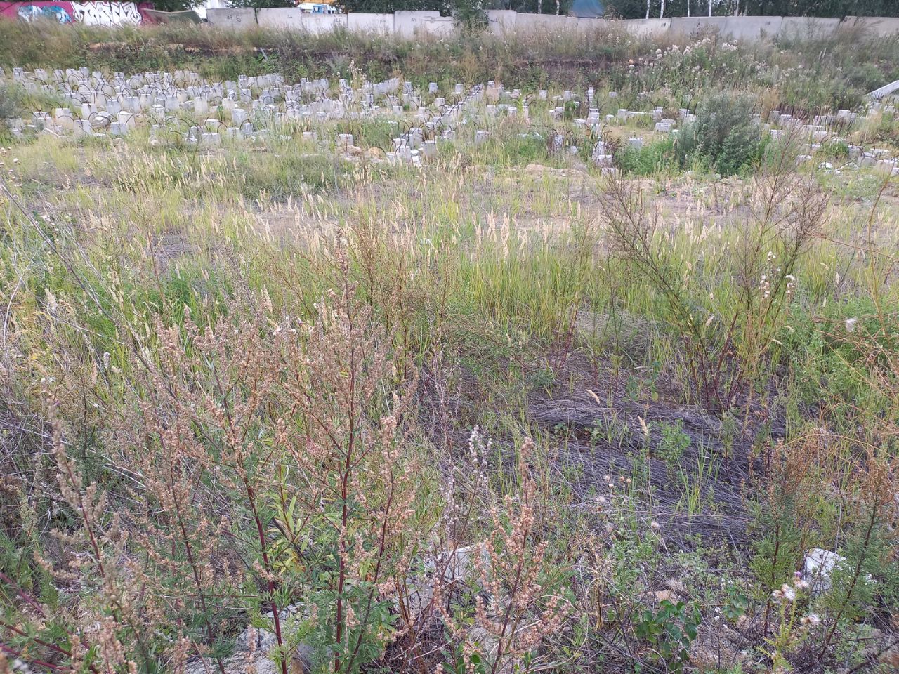 Ход строительства ЖК «Радуга» — фото за август 2021